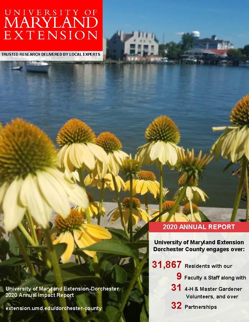 Dorchester County University Of Maryland Extension